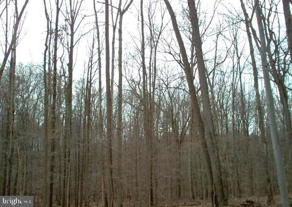 8.6 Acres of Residential Land for Sale in Silver Spring, Maryland
