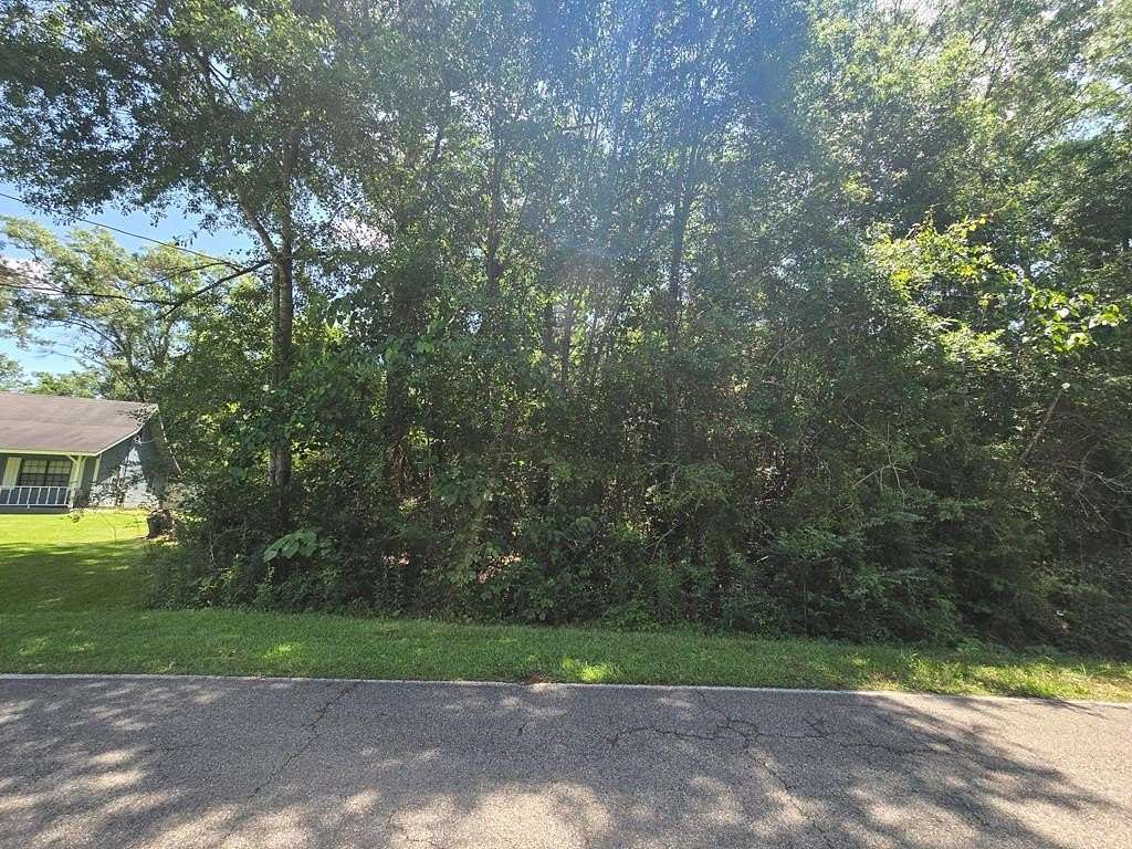 0.2 Acres of Residential Land for Sale in Carriere, Mississippi