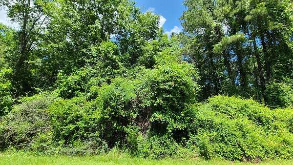0.34 Acres of Residential Land for Sale in Carriere, Mississippi