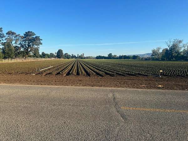 5.25 Acres of Residential Land for Sale in Gilroy, California
