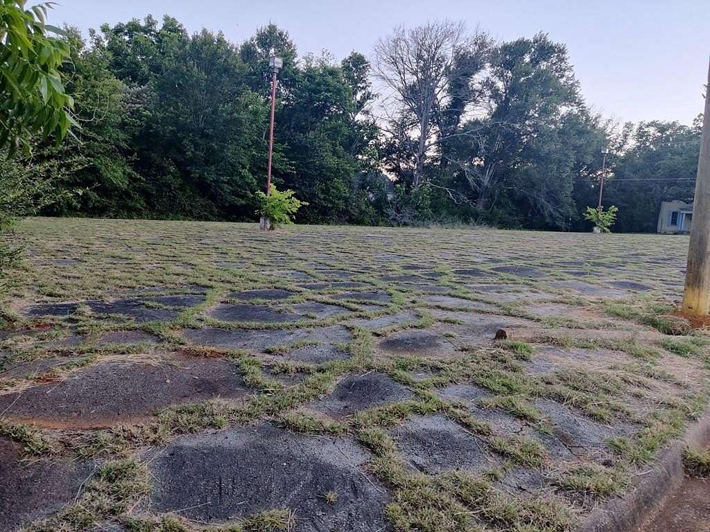 0.48 Acres of Land for Sale in Palestine, Texas