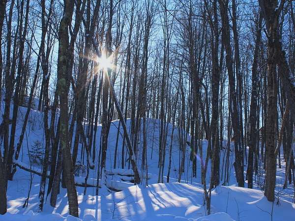 0.57 Acres of Residential Land for Sale in Upson, Wisconsin