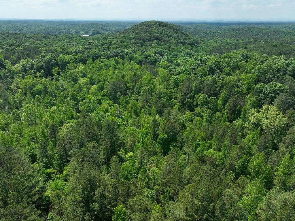 198 Acres of Recreational Land for Sale in Ranger, Georgia