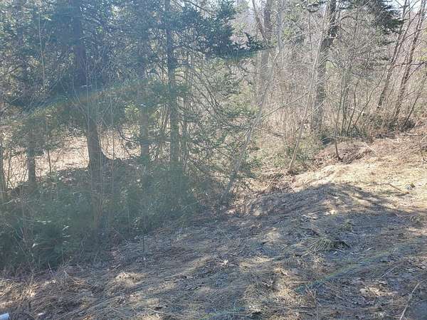 5 Acres of Residential Land for Sale in Frankfort, Maine