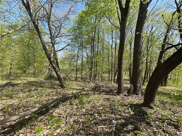 40 Acres of Land for Sale in Harris, Minnesota