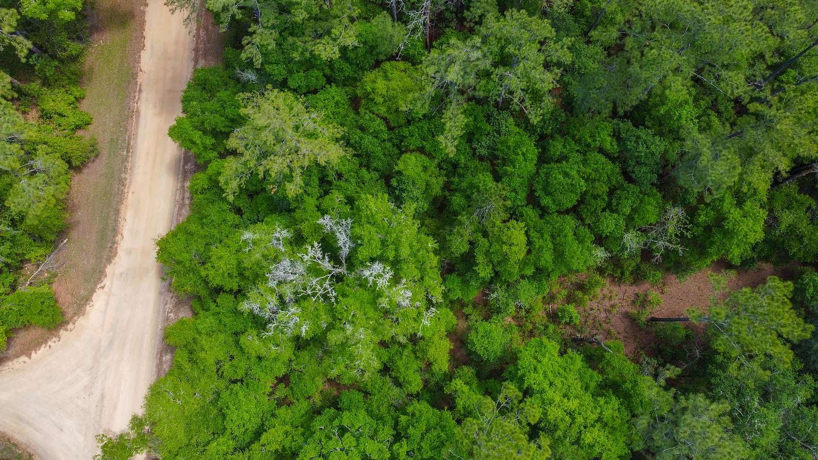 0.22 Acres of Residential Land for Sale in Interlachen, Florida