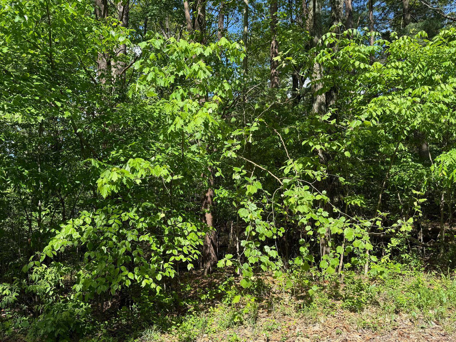 0.29 Acres of Residential Land for Sale in Santa Claus, Indiana