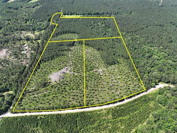 34 Acres of Land for Sale in Groveton, Texas