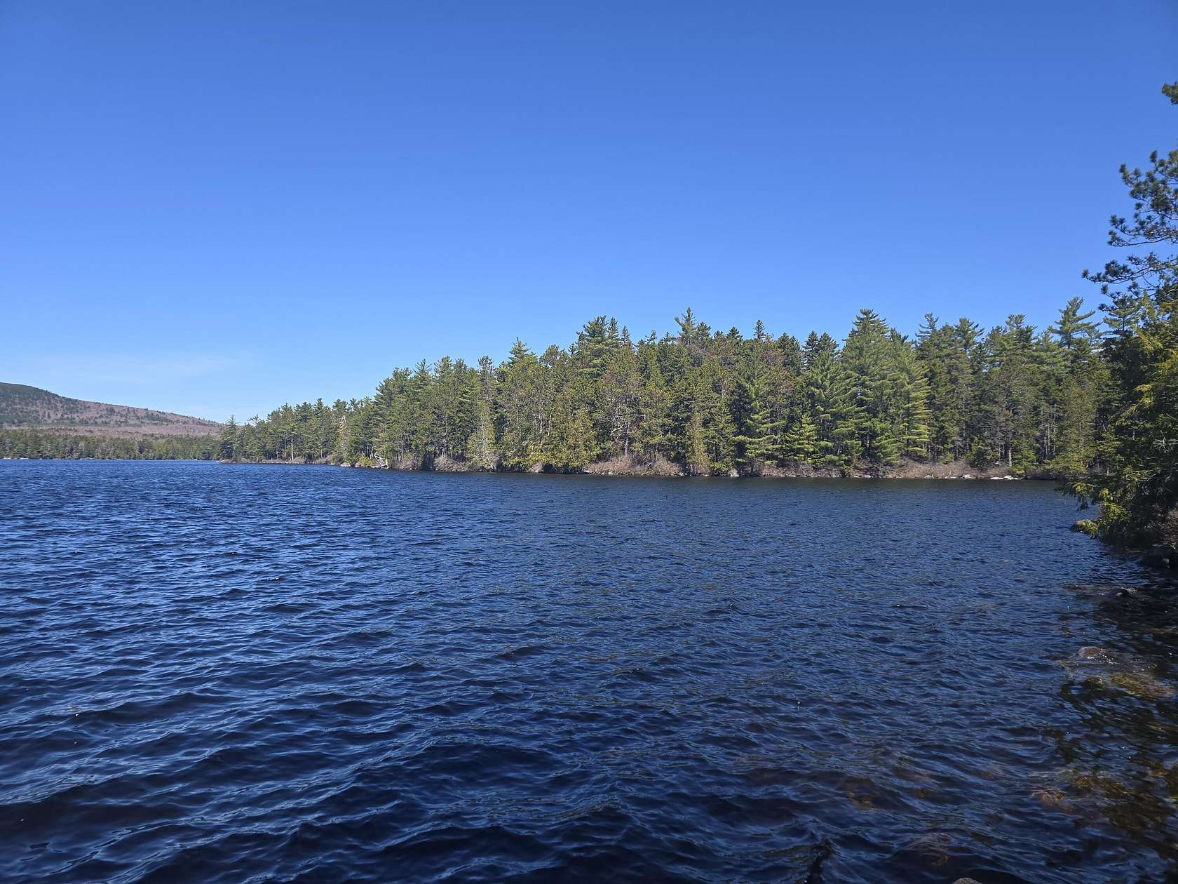 23.7 Acres of Recreational Land for Sale in Beddington, Maine