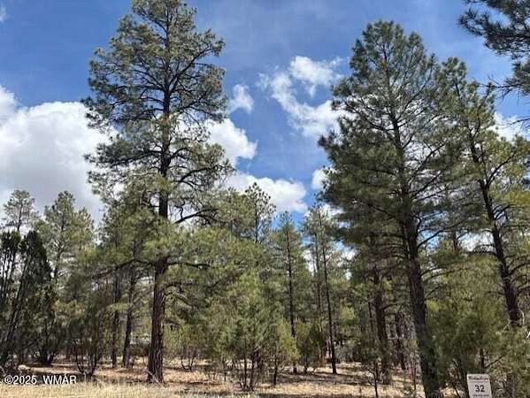 0.05 Acres of Residential Land for Sale in Show Low, Arizona