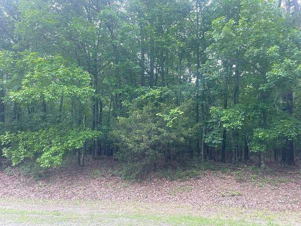 1.19 Acres of Residential Land for Sale in Fairfield Bay, Arkansas