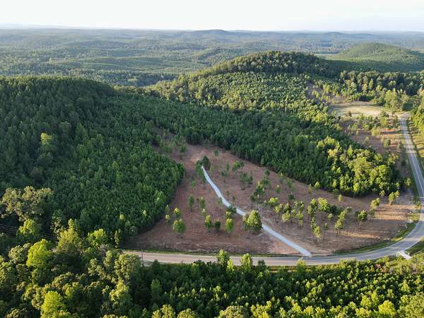 40 Acres of Agricultural Land for Sale in Cragford, Alabama