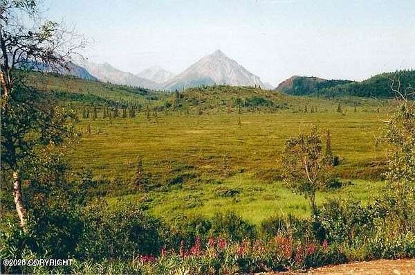 10 Acres of Land for Sale in Chickaloon, Alaska