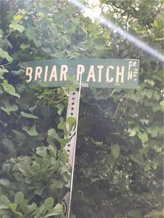 1 Acre of Residential Land for Sale in Townsend, Georgia