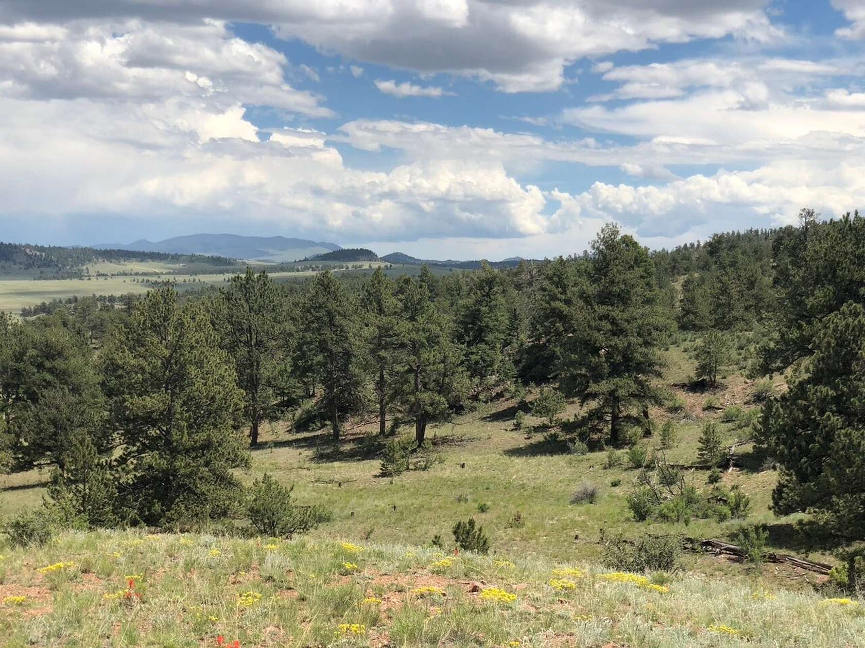 4.86 Acres of Land for Sale in Hartsel, Colorado