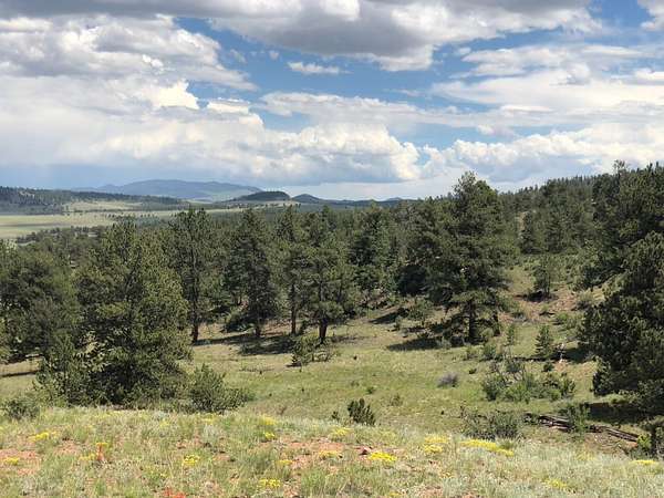 4.86 Acres of Land for Sale in Hartsel, Colorado