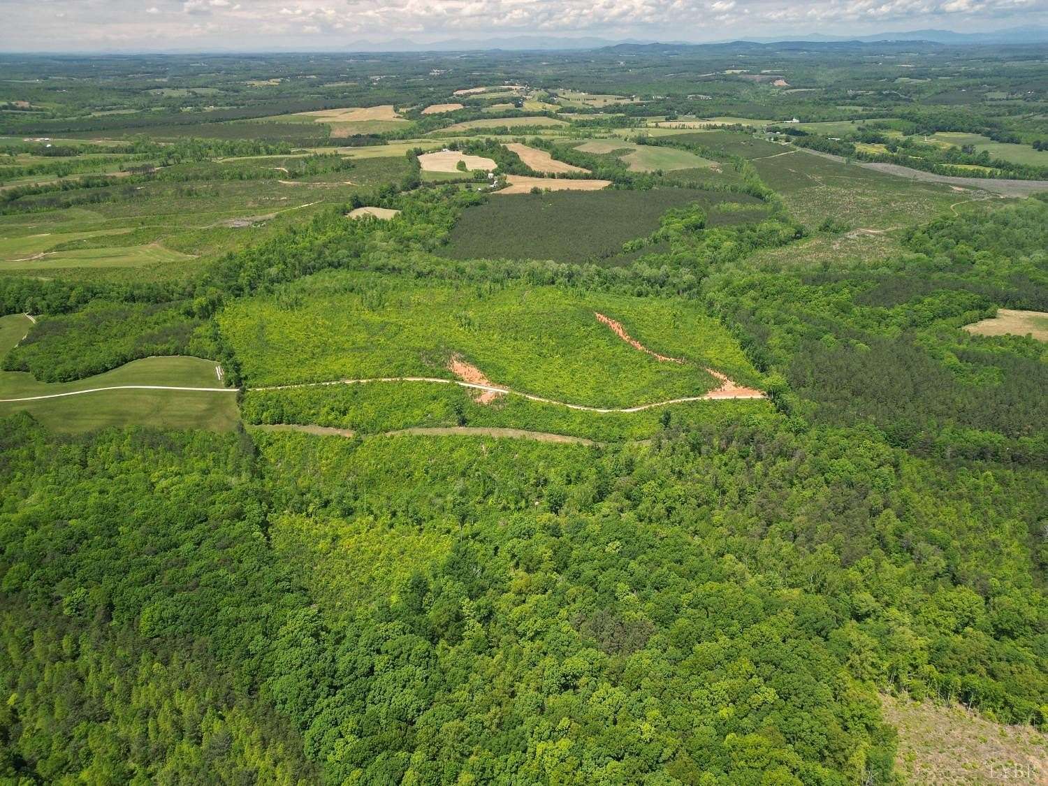 95.6 Acres of Recreational & Residential Land for Sale in Gladys, Virginia