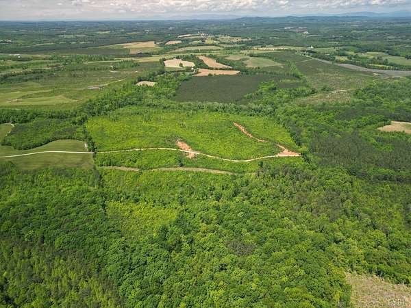 95.6 Acres of Recreational & Residential Land for Sale in Gladys, Virginia