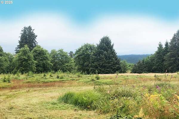1.84 Acres of Residential Land for Sale in Naselle, Washington