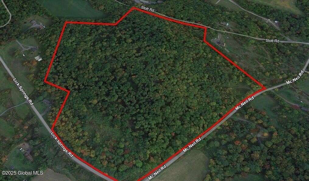 49.5 Acres of Land for Sale in Argyle, New York