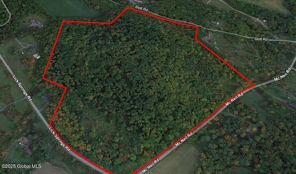 49.5 Acres of Land for Sale in Argyle, New York