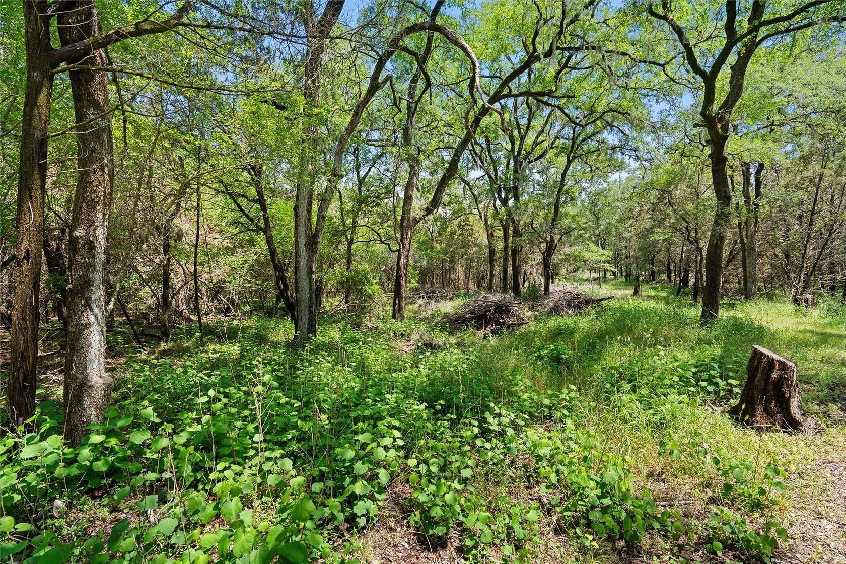 4.7 Acres of Residential Land for Sale in San Marcos, Texas