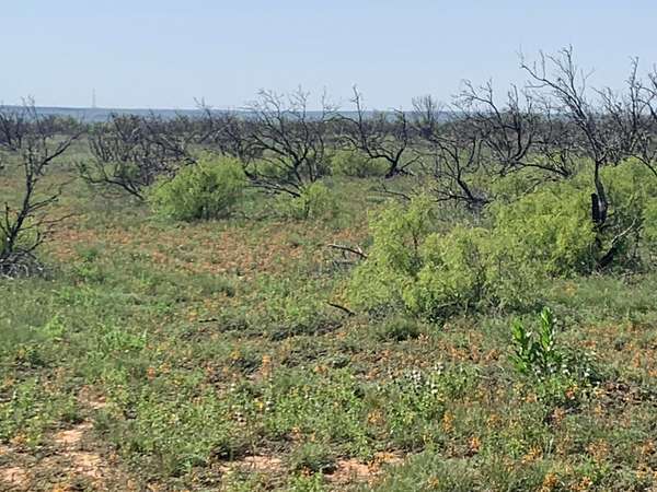 19.6 Acres of Land for Sale in Bushland, Texas