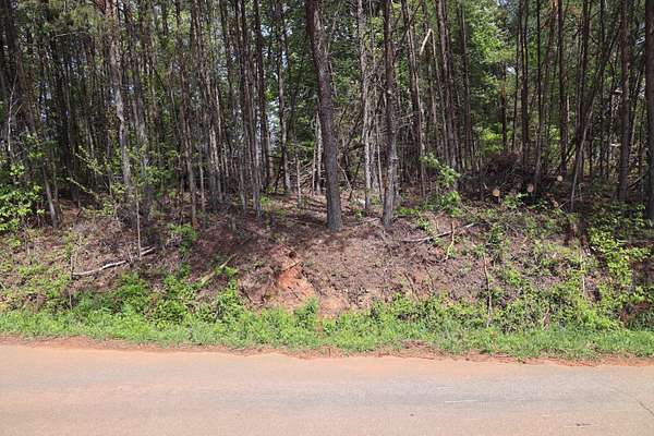 0.53 Acres of Residential Land for Sale in Henry, Virginia