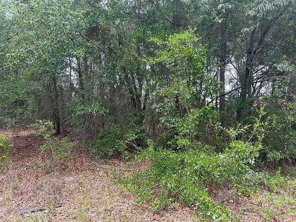 0.54 Acres of Residential Land for Sale in Ocala, Florida