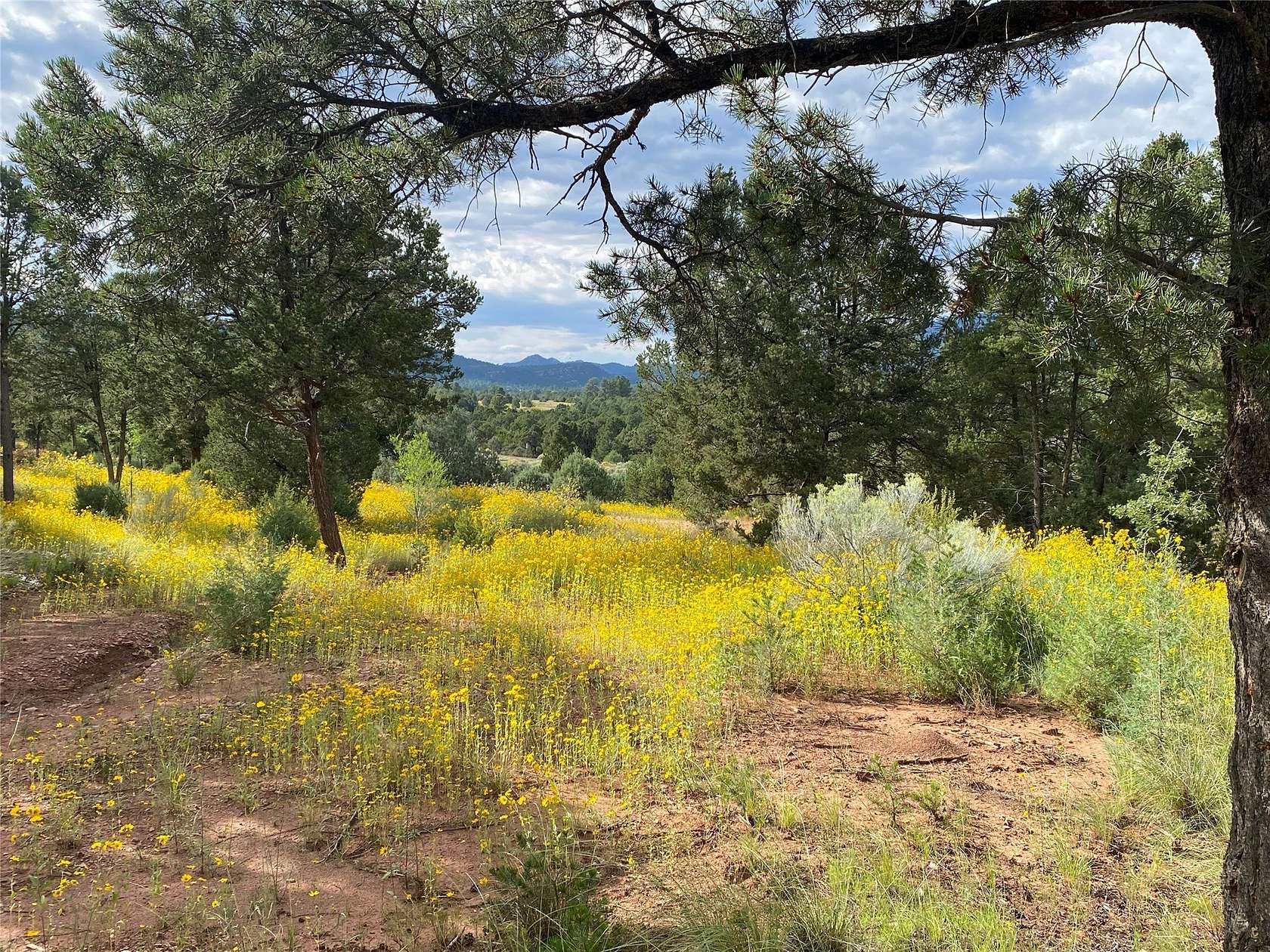 7.19 Acres of Residential Land for Sale in Glorieta, New Mexico