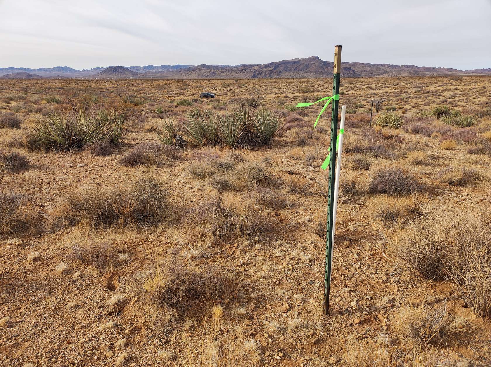 1.25 Acres of Residential Land for Sale in Golden Valley, Arizona