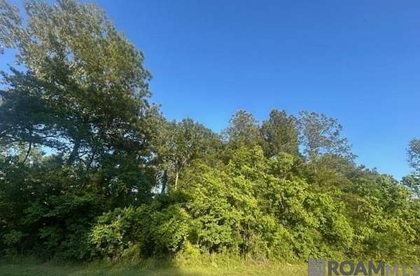 2 Acres of Residential Land for Sale in Livingston, Louisiana