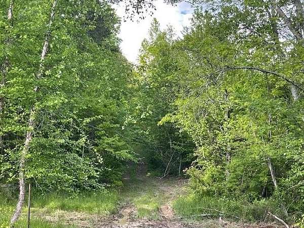 7 Acres of Residential Land for Sale in Gray, Kentucky