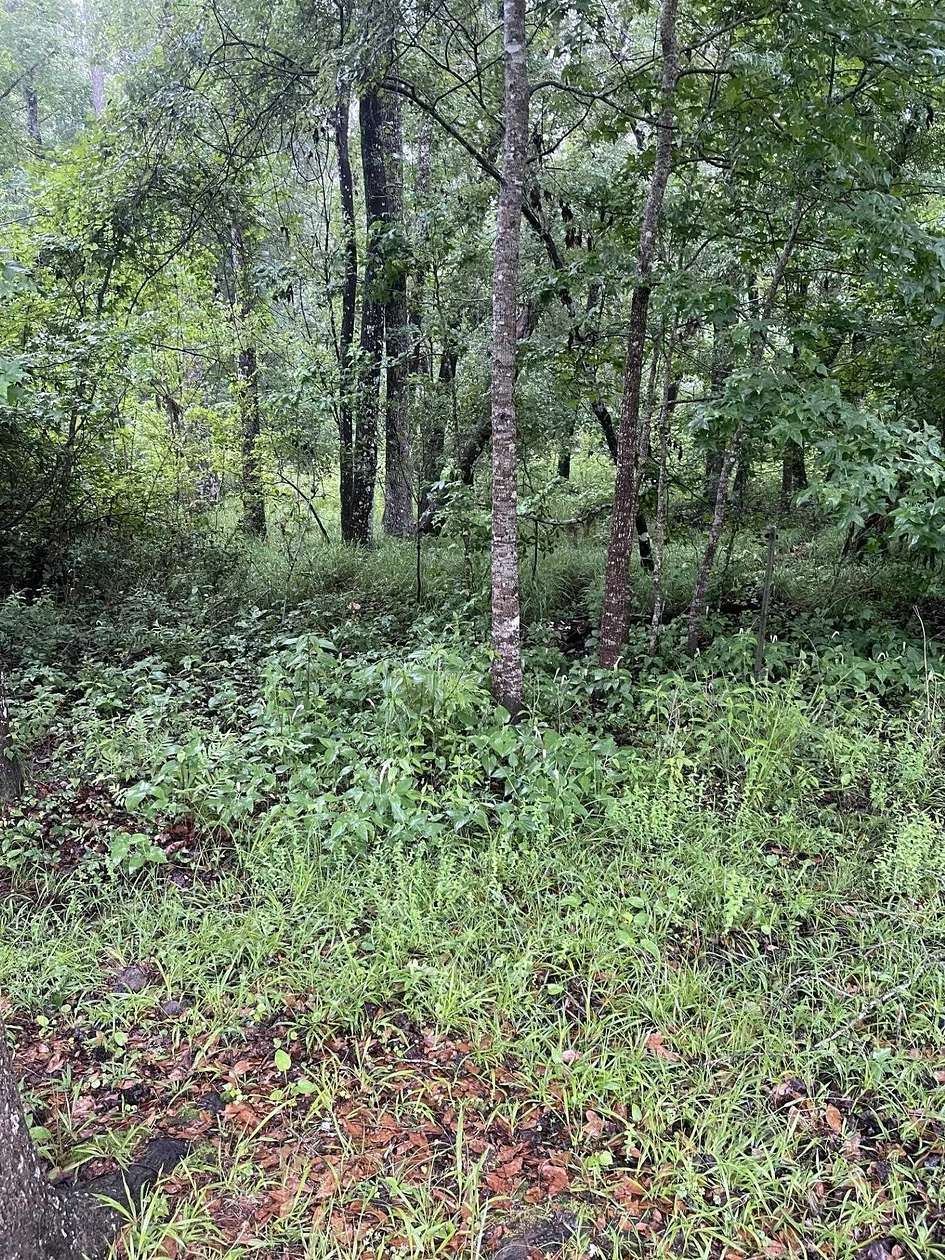 5 Acres of Land for Sale in Lee, Florida