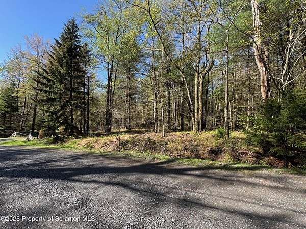 0.33 Acres of Residential Land for Sale in Thornhurst, Pennsylvania