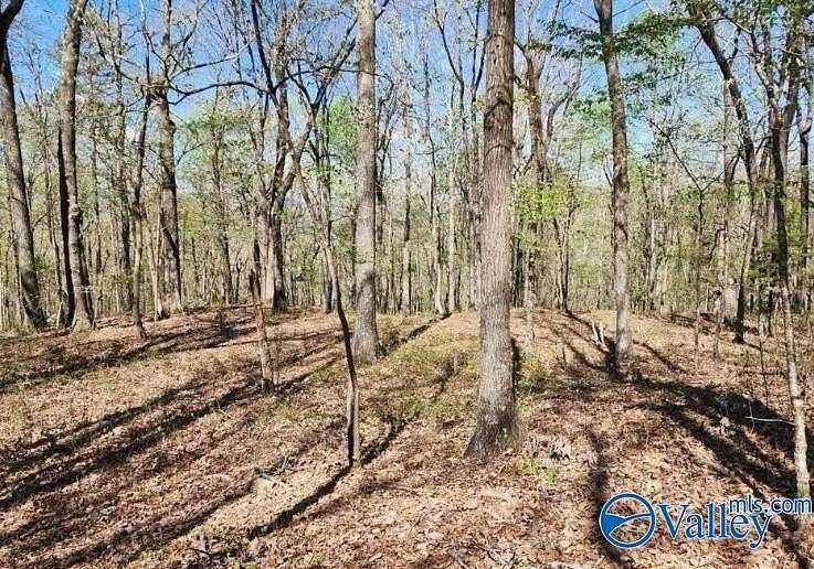 59 Acres of Recreational Land for Sale in Gurley, Alabama