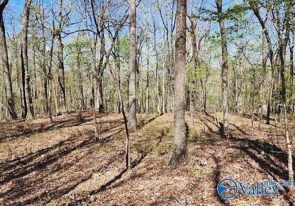 59 Acres of Recreational Land for Sale in Gurley, Alabama