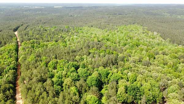 52.5 Acres of Recreational Land & Farm for Sale in Burnsville, Mississippi