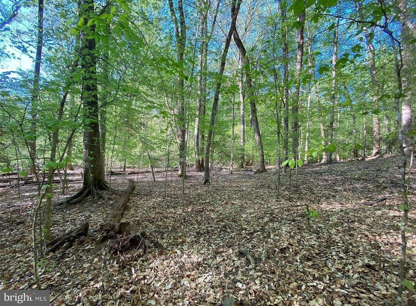 5 Acres of Land for Sale in Accokeek, Maryland