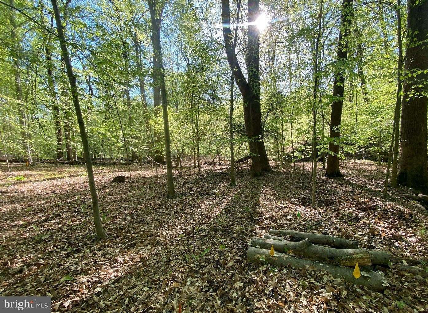 5 Acres of Residential Land for Sale in Accokeek, Maryland
