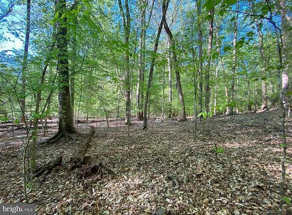 5 Acres of Land for Sale in Accokeek, Maryland