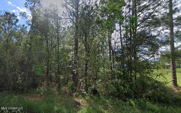0.06 Acres of Residential Land for Sale in Bay St. Louis, Mississippi