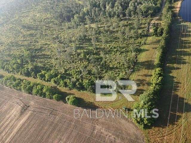 1,124 Acres of Land for Sale in Elberta, Alabama