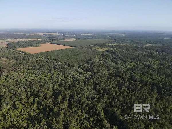 1,124 Acres of Land for Sale in Elberta, Alabama