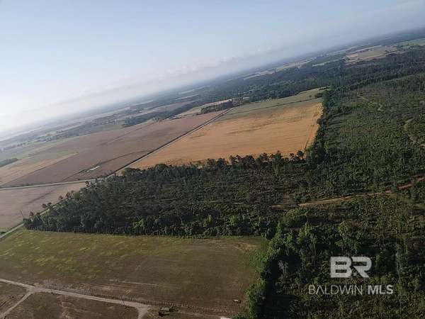 1,124 Acres of Land for Sale in Elberta, Alabama