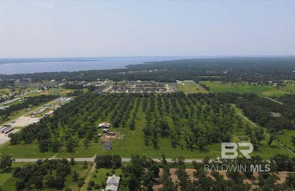 39.3 Acres of Recreational Land & Farm for Sale in Lillian, Alabama