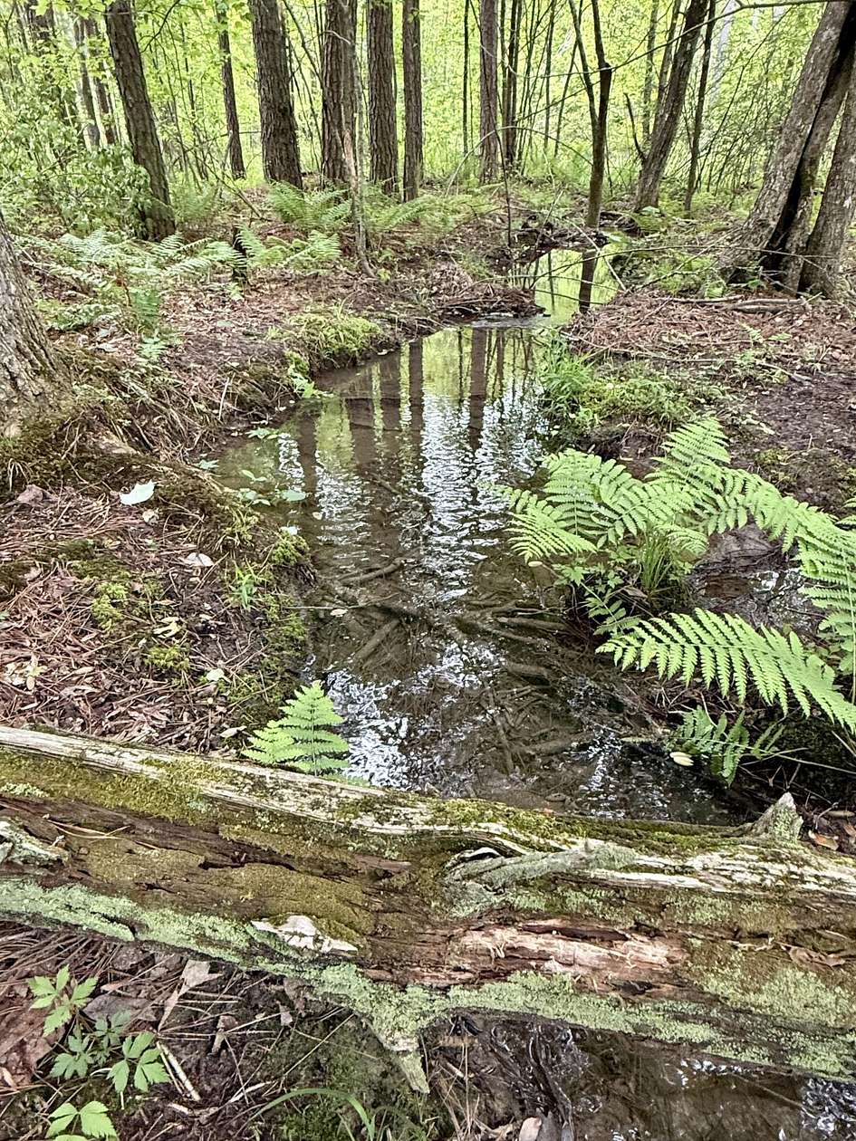 11.1 Acres of Recreational Land for Sale in Dunlap, Tennessee