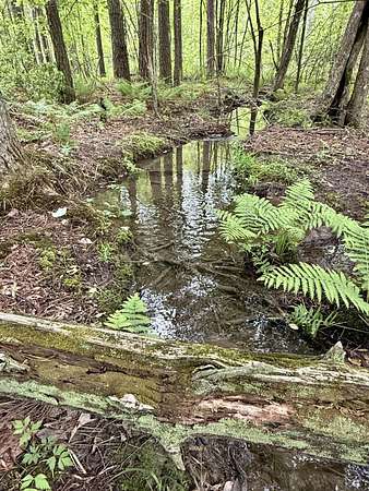 11.1 Acres of Recreational Land for Sale in Dunlap, Tennessee