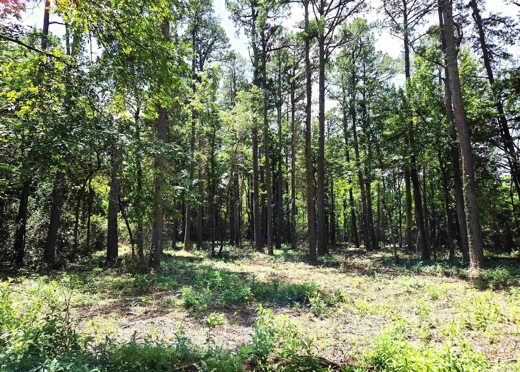 0.8 Acres of Residential Land for Sale in Mena, Arkansas