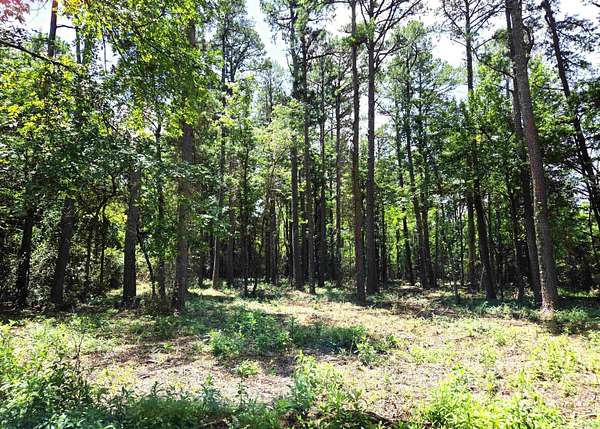 0.8 Acres of Residential Land for Sale in Mena, Arkansas